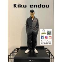 ราคา ขายเท โมเดลอีกา Kiku Endou (12219245189)