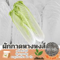 ราคา เมล็ดพันธุ์ ผักกาดหางหงส์ แบ่งขาย (ซื้อ 5 แถม 1) (29103094184)
