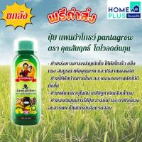 ราคา แพนต้าโกรว์ 500 ซีซี ยกลัง 12 ขวด ส่งฟรี (25786158185)