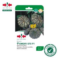 ราคา ศรแดง เมล็ดพันธุ์ฟักทอง ข้าวตอก 573 F1 (East-West Seed) เมล็ดพันธุ์ผัก เมล็ดพันธุ์ ผักสวนครัว ตราศรแดง (3735901822)