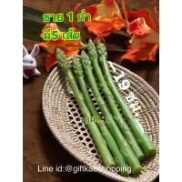 ราคา ผักปลอม โมเดลหน่อไม้ฝรั่ง โมเดลผักผลไม้ (1 กำมี5เส้น) (5818470299)