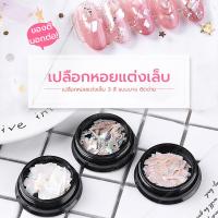 ราคา เปลือกหอยแต่งเล็บ เปลือกหอย ตกแต่งเล็บเปลือกหอยแต่งเล็บ 3 สี แบบบาง ติดง่าย (7435288428)