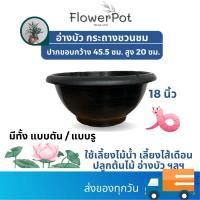 ราคา ขนาด 18 นิ้ว กระถางชวนชม(เจาะรู) / อ่างบัว(ทึบ) สีดำ พลาสติก (24657332679)