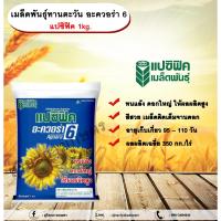 ราคา เมล็ดพันธุ์ทานตะวัน อะควอร่า 6 แปซิฟิค 1kg. เมล็ดพันธุ์ทานตะวันลูกผสม ดอกทานตะวัน เมล็ดทานตะวัน เมล็ดพันธุ์แปซิฟิค (25809678313)