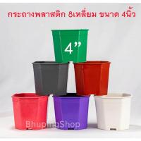ราคา กระถางพลาสติก 8เหลี่ยม ขนาด 4 นิ้ว (ชุด 50 ใบ ฟรี 5 ใบ) สีน้ำตาล กับสีขาว #กระถางแคคตัส #กระถางเหลี่ยม #กระถางปลูกต้นไม (21021110193)