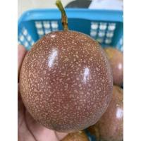 ราคา เมล็ดเสาวรสพันธุ์สีม่วง 100เมล็ด (16486985661)