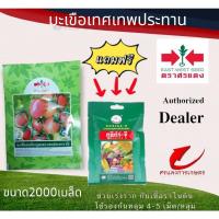 ราคา มะเขือเทศเทพประทาน 2,000เมล็ด #เมล็ดพันธุ์มะเขือเทศ #ขายปลีกเมล็ดพันธู์ #ขายส่งเมล็ดพันธุ์ #มะเขือเทศ (17712931493)