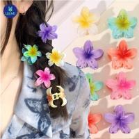 ราคา กิ๊บติดผมลีลาวดี กิ๊บติดผมดอกไม้ไข่ สไตล์ฮาวาย สีสันสดใส วันหยุดชายทะเลฮาวาย (29830747331)