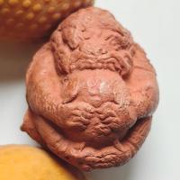 ราคา ลูกอมหนุมานครองเมือง หลวงปู่เกลี้ยง วัดเนินสุทธาวาส จ.ชลบุรี ปี 2545 เนื้อผงแดง 1 (26258422572)