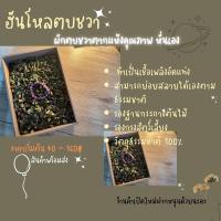 ราคา ผักตบชวาตากแห้งกันกระแทกผักตบชวากันกระแทกวัตถุแทนกันกระแทะรองกรงสัตว์เลี้ยงรองกระถางต้นไม้พร้อมส่ง‼️ (20553411392)