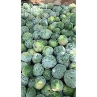 ราคา เมล็ดพันธุ์ฟักหอมใบเตย (24257492762)