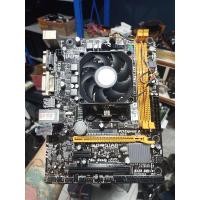ราคา บอร์ด AMD FM2 FM2+ พร้อม CPU A4 6300 3.7GHz APU HD8370D (27624180549)
