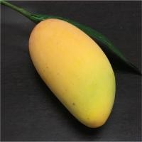 ราคา มะม่วงปลอม ลูกละ 55 บาท (2806546359)