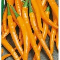 ราคา เมล็ด​พันธุ์​พริกเหลือง 25 เมล็ด​ (พริกเหลืองหวาน)​ (4217908532)