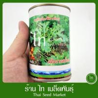 ราคา ผักกาดเขียวน้อย (ผักกาดสร้อย) สิงห์โต เมล็ดพันธุ์ ผักกาดเขียวน้อย ตรา สิงโต บรรจุ 500 / 80 กรัม (14621600091)
