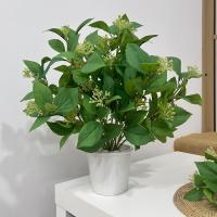 ราคา ใบออริกาโน่แซมดอกTYx5 พร้อบใบไม้ (24302567180)