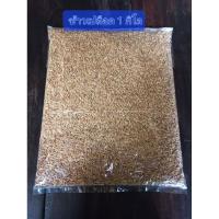 ราคา ข้าวเปลือก เมล็ดปานกลาง ข้าวเปลือกอาหารไก่ (แบ่งขาย) 1 กิโล (23576040235)