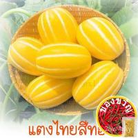 ราคา เมล็ดพันธุ์/แตงไทยสีทอง ถูกที่สุด10บ. เมล็ดพันธุ์แตงไทยยาวสีทอง 10 เมล็ด ปลูกง่ายหวานอร่อยมะละกอ/ดอกไม้/หมวก/มักกะโรนี/แ (15894533490)