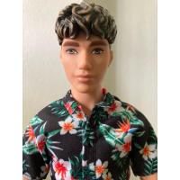 ราคา BarbieFashionistaKen (25269211024)