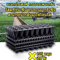 ราคา 105หลุม ถาดเพาะกล้า ถาดเพาะชำ ถาดเพาะต้นกล้า ถาดเพาะต้นอ่อน ถาดเพาะเมล็ด ถาดเพาะปลูกผัก เพาะเมล็ด (26428258943)