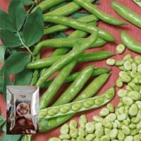 ราคา เมล็ดพันธุ์ถั่วปากอ้า (7679091534)