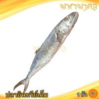 ราคา มหามงคล ปลาอินทรีย์เค็ม 280กรัม 1ตัว ปลาอินทรีย์ ปลาอินทรีย์หอม อินทรีย์เค็ม ปลาอินทรี ปลาเค็ม (12229296056)