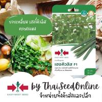 ราคา GGEW เมล็ดพันธุ์ซฟ บวบเหลี่ยม เฮอร์คิวลิส 25 เมล้ด ตราศรแดง (973446380)