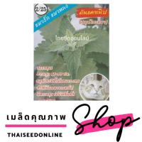 ราคา เมล็ดพันธุ์ เมล็ดแคทนิป กัญชาแมว ตราตองสาม （333）เครือสามเอ (AAA） (3966028058)