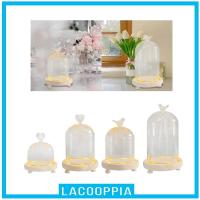 ราคา [ โดมแก้ว โดมแก้ว โดมโคลช DIY คอนเทนเนอร์ ดอกไม้ ฝาครอบ โหลโชว์ เคส นอร์ดิก วันวาเลนไทน์ บ้าน โดมใส โคลช (19881790335)