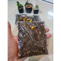 ราคา ดินปลูกแคคตัส ดินผสมแล้วพร้อมปลูก ดินปลูกต้นกระบองเพชร แบ่งขาย 200 กรัม (8440693051)