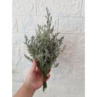 ราคา ดอกแคสเปียแห้ง ตกแต่งเค้ก พร็อพถ่ายรูป (22719691592)