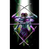 ราคา รูปโปสเตอร์ วันพีช โซโล ไม่มีกรอบ ขนาด 25*42 cm ติดผนัง ตกแต่งบ้าน (25494951557)