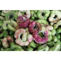 ราคา ต้นพันธ์ มะขามเทศ หวาน พันธุ์สีชมพู มะขามข้อง พร้อมปลูกในถุงดำ ต้นละ 59 บาท มะขามเทศเพชรโนนไทย ทนแล้ง ทนร้อน (24230242869)