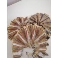 ราคา ปลากระเบนวงเค็ม 500กรัม ปลากะเบนแห้ง ปลาเบนวง อาหาร อาหารทะเลแห้ง ปลาเค็ม แหวนหางปลาเบน ปลาหมึกแห้ง ปลาหระเบนเค็ม kk (25527298622)