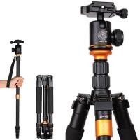 ราคา QZSD ขาตั้งกล้อง รุ่น Q-999S + Ball Head QZSD-06 (2241401700)