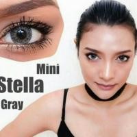 ราคา Mini stella gray (55354327)