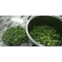 ราคา สะตอแกะ สดใหม่ เม็ดใหญ่ (27253560922)