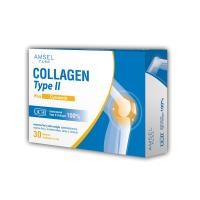 ราคา Amsel Collagen Type II Plus Curcumin 30 แคปซูล (22719536659)
