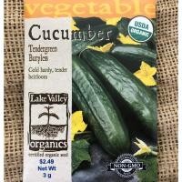 ราคา แตงกวาเทนเดอร์กรีน - Tender Green Cucumber (7078468113)