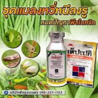 ราคา กำจัดหนอน แมลงหวี่หนีลงรู 100 ซีซี เพลี้ย แมลงหวี่ขาว น็อคหนอน ในพริก มะเขือ แตงกวา คูลเกษตร Kl78 (18814686003)