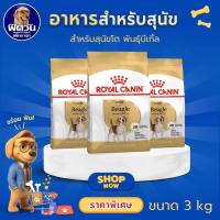 ราคา ROYAL CANIN Beagle Adult อาหารเม็ดสำหรับสุนัขโตพันธุ์บีเกิ้ล ขนาด 3 กิโลกรัม{อาหารสุนัขเม็ด} (3933585814)