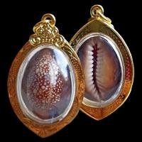 ราคา K004 เบี้ยแก้ หลวงปู่บุญ วัดกลางบางแก้ว จ.นครปฐม ขนาด 2.5X4.5 ซม. กรอบพระ ทองไมครอน (24859269545)