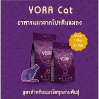 ราคา YORA Cat Adult อาหารแมวจากโปรตีนแมลง สูตรสำหรับแมวโตเต็มวันทุกสายพันธุ์ ขนาด 1.5kg & 3.75kg (25983390032)