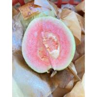 ราคา ฝรั่งไส้แดง ฝรั่งเฟินหงมี่ (24841545219)