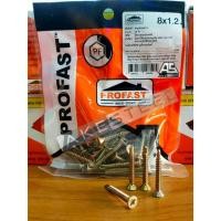 ราคา PROFAST สกรูปลายสว่าน ขนาด 8/10 นิ้ว (แพค 50 ตัว) คม เจาะง่าย หัวไม่รูด เคลือบสารกันสนิม สกรู (25363570525)