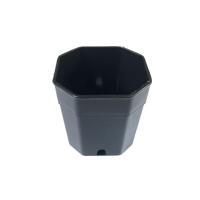 ราคา กระถางพลาสติกสีดำ ขนาด 2 นิ้ว ทรง 8 เหลี่ยม, กระถางปลูกต้นไม้, กระถางปลูกแคคตัส (5052223528)