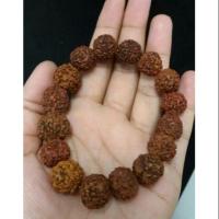 ราคา สร้อยข้อมือเมล็ดรุทรักษะหรือน้ำตาพระศิวะ (1936630403)