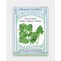 ราคา เมล็ดพันธุ์ สมุนไพร พาร์สลีย์ Italian Gigante Parsley (9411905827)
