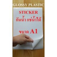 ราคา สติ๊กเกอร์พลาสติกผิวมันเงา ขนาด A1 GLOSSY PLASTIC STICKER INKJET A1 จำนวน 10 แผ่น DEEFA-STGA1 (7738520946)