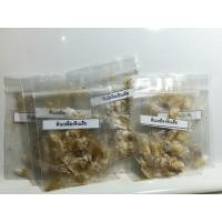 ราคา เมล็ดต้นเหลืองอินเดีย เมล็ดอินทรีย์ เมล็ด OP (4857157547)